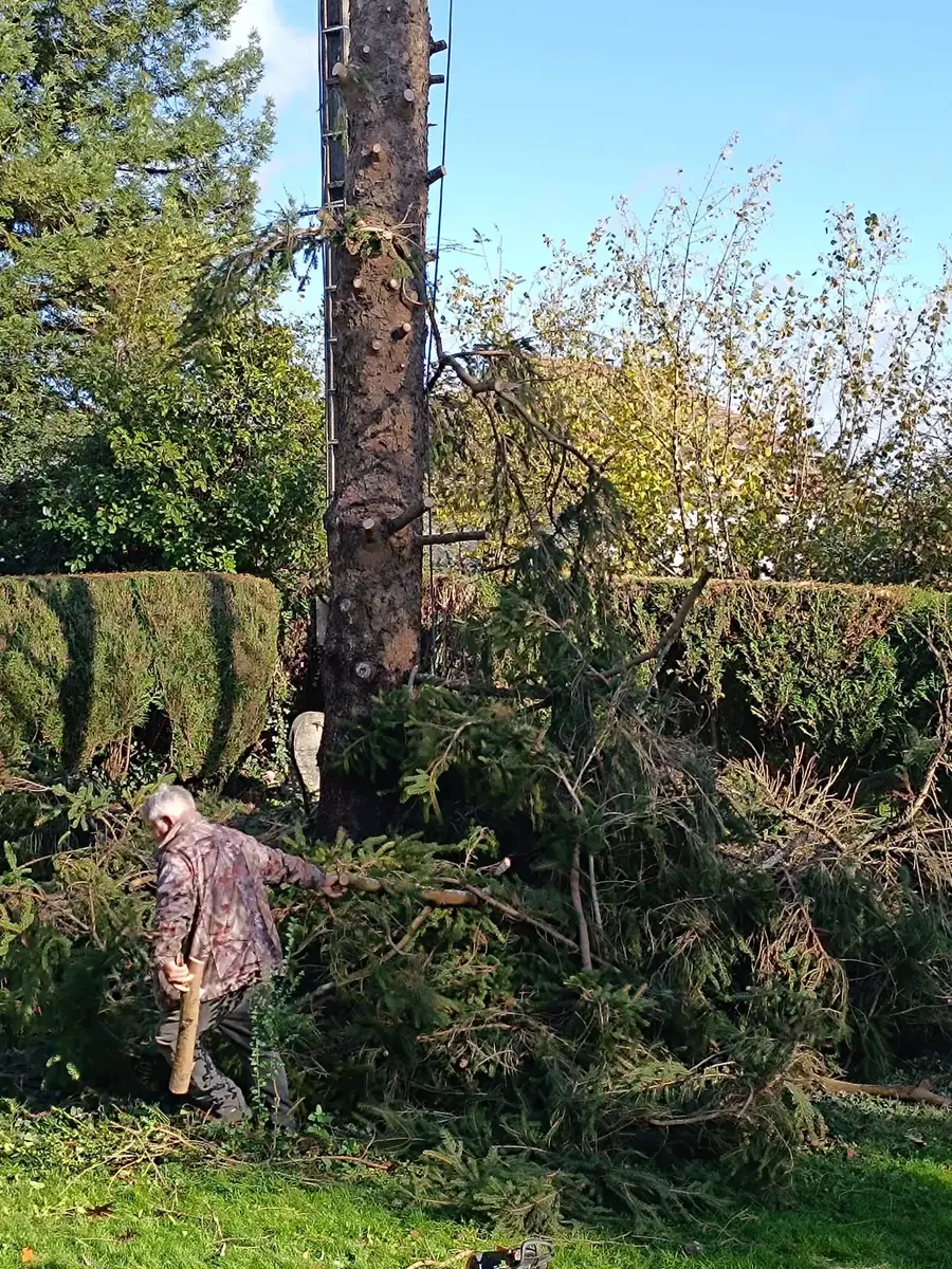 Évacuation des branches au pied du tronc à Oloron-Sainte-Marie